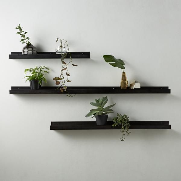three black floating shelves with plants